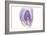 Purple Watercolor Agate I-Susan Bryant-Framed Premium Giclee Print