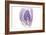 Purple Watercolor Agate I-Susan Bryant-Framed Premium Giclee Print