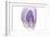 Purple Watercolor Agate I-Susan Bryant-Framed Premium Giclee Print