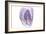 Purple Watercolor Agate I-Susan Bryant-Framed Premium Giclee Print