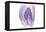 Purple Watercolor Agate I-Susan Bryant-Framed Stretched Canvas