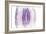 Purple Watercolor Agate II-Susan Bryant-Framed Art Print