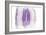 Purple Watercolor Agate II-Susan Bryant-Framed Art Print