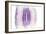 Purple Watercolor Agate II-Susan Bryant-Framed Art Print