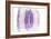 Purple Watercolor Agate II-Susan Bryant-Framed Art Print