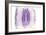 Purple Watercolor Agate II-Susan Bryant-Framed Art Print