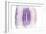 Purple Watercolor Agate II-Susan Bryant-Framed Premium Giclee Print