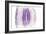 Purple Watercolor Agate II-Susan Bryant-Framed Premium Giclee Print