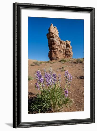 Purple Wild Flowers, Capitol Reef National Park, Utah, United States of America, North America-Michael DeFreitas-Framed Photographic Print