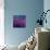 Purple Wild Flowers-Pol Ledent-Premium Giclee Print displayed on a wall
