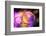 Purple Worlds-Ursula Abresch-Framed Photographic Print