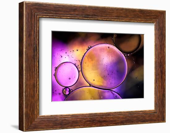 Purple Worlds-Ursula Abresch-Framed Photographic Print