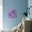 Purple-Oxana Zaiko-Mounted Giclee Print displayed on a wall