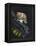 Purpura Lapillus: Dog Whelk-Philip Henry Gosse-Framed Premier Image Canvas