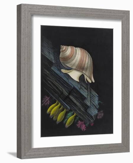 Purpura Lapillus: Dog Whelk-Philip Henry Gosse-Framed Giclee Print