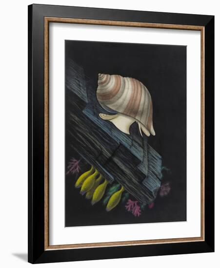 Purpura Lapillus: Dog Whelk-Philip Henry Gosse-Framed Giclee Print