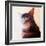 Purr-fect Spot, 2018, (painting)-Helen White-Framed Giclee Print