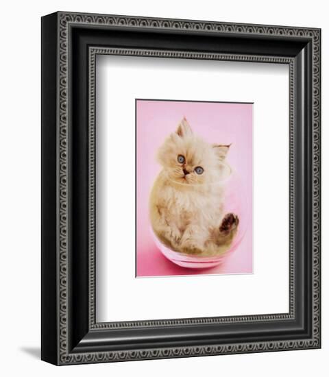 Purrfect Fit-Rachael Hale-Framed Art Print