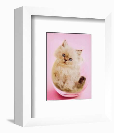 Purrfect Fit-Rachael Hale-Framed Art Print