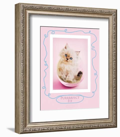 Purrfect Fit-Rachael Hale-Framed Premium Giclee Print