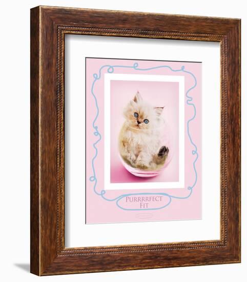 Purrfect Fit-Rachael Hale-Framed Premium Giclee Print