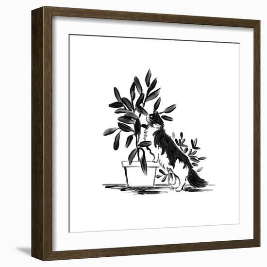 Purrfect House Plants I-June Vess-Framed Art Print