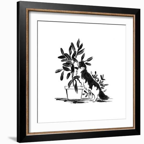 Purrfect House Plants I-June Vess-Framed Art Print