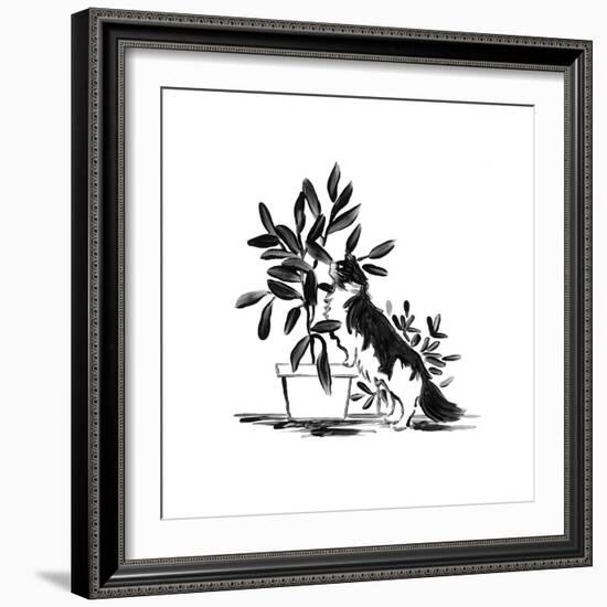 Purrfect House Plants I-June Vess-Framed Art Print