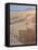 Pushkar Fair-Lincoln Seligman-Framed Premier Image Canvas