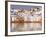 Pushkar Lake, Rajasthan, India, Asia-Ben Pipe-Framed Photographic Print