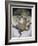 Puss in Boots Doing a Somersault-Wayne Anderson-Framed Giclee Print