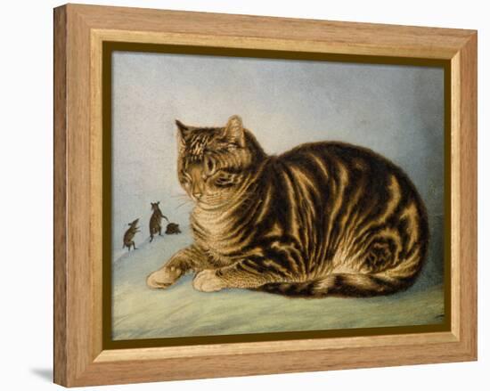 Puss Napping-George Baxter-Framed Premier Image Canvas