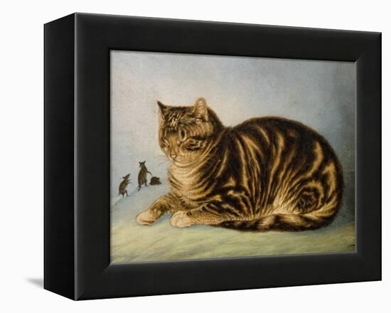 Puss Napping-George Baxter-Framed Premier Image Canvas
