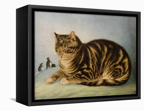 Puss Napping-George Baxter-Framed Premier Image Canvas