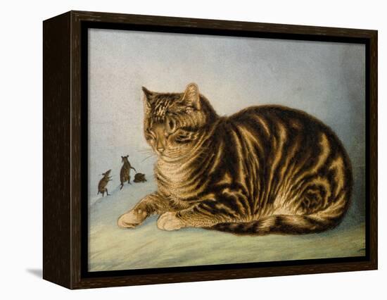 Puss Napping-George Baxter-Framed Premier Image Canvas