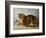 Puss Napping-George Baxter-Framed Giclee Print