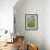 Pussy willow / Goat willow / Great sallow female catkins, UK-Nick Upton-Framed Photographic Print displayed on a wall