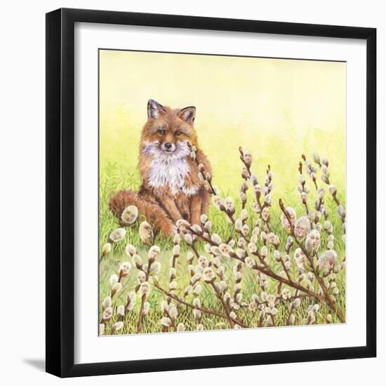 Pussywillows Fox-Wendy Edelson-Framed Giclee Print