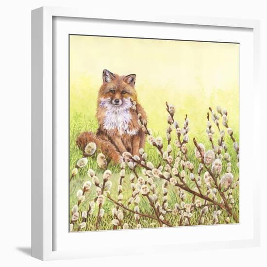 Pussywillows Fox-Wendy Edelson-Framed Giclee Print