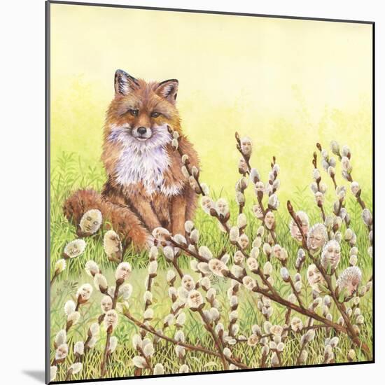 Pussywillows Fox-Wendy Edelson-Mounted Giclee Print