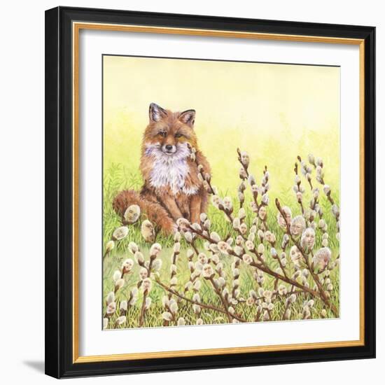 Pussywillows Fox-Wendy Edelson-Framed Giclee Print