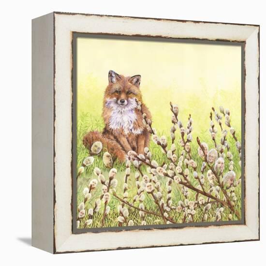 Pussywillows Fox-Wendy Edelson-Framed Premier Image Canvas