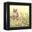 Pussywillows Fox-Wendy Edelson-Framed Premier Image Canvas