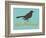 Put A Bird On It Blue-null-Framed Art Print