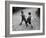 Put 'Em Up!' Two Boys Enjoy a Game of Fisticuffs in a Garden or Playground-null-Framed Photographic Print