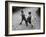 Put 'Em Up!' Two Boys Enjoy a Game of Fisticuffs in a Garden or Playground-null-Framed Photographic Print