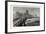 Putney Bridge, London, Christmas, 1879, after a Drawing by A. Severn. Uk-null-Framed Giclee Print