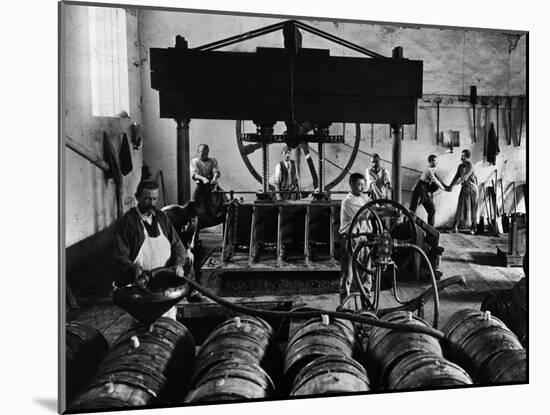 Putting the Wine in Barrels in Champagne, C.1900-null-Mounted Photographic Print