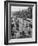 Puyallup Daffodil Three Wheeler Club-Ralph Crane-Framed Photographic Print