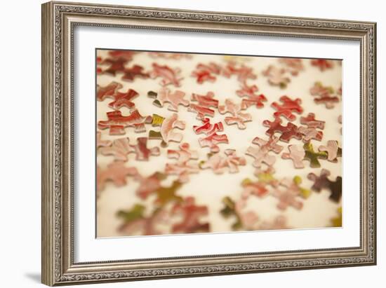 Puzzle III-Karyn Millet-Framed Photographic Print